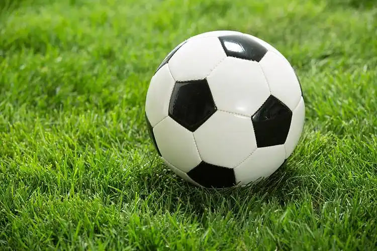 体育媒体工作者场景